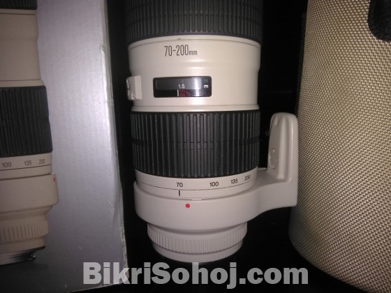 Canon 70-200 Lence